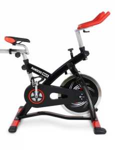 BICICLETA DE INDOOR PROFESIONAL RANDERS MAX FC 58 H